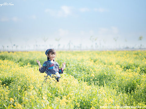 🍀春日融融，和风阵阵，金光耀眼的油菜花随风摇曳