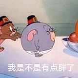 yf圣罗兰的头像