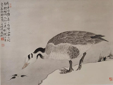 工笔画 花鸟画 鲁刚作品