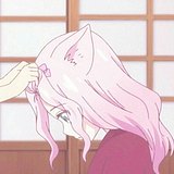 不会画画的Daisy的头像