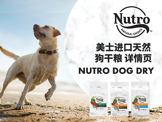 美士进口天然狗干粮详情页