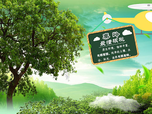 秦岭纸皮核桃 详情页设计