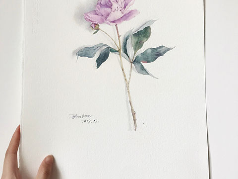 水彩花卉