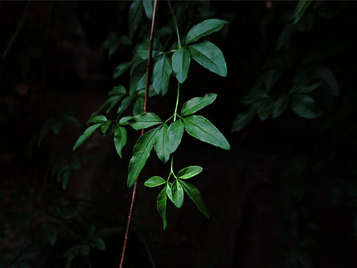 上一年的暑假（個(gè)人主頁(yè)-ZMTcwNTI5MTI=） - 風(fēng)光攝影 - 站酷設(shè)計(jì)師Estellewu原創(chuàng)素材 - 站酷ZCOOL