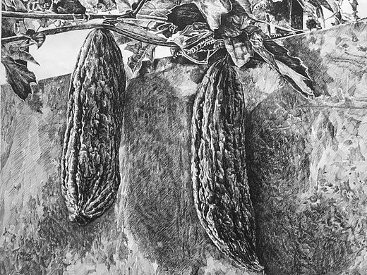 《攀》80X80CM钢笔画 札记