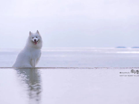 面朝大海，春暖花开。