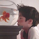 yang丶云里的头像