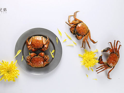 美食摄影