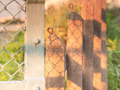 初夏阳光（个人主页-ZNDQ2NTUyOTI=） - 风光摄影 - 站酷设计师Stevon_SeyMour原创素材 - 站酷ZCOOL