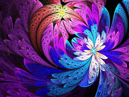 分形(Fractal)二十九辑: 繁盛如叶，华美如花。