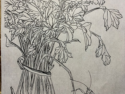 一个🈷️．（个人主页-ZNDQ3NDU0NDA=） - 绘画 - 站酷设计师Z52030647原创素材 - 站酷ZCOOL