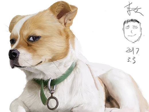 手绘学习中的，第一只狗