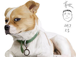 手绘学习中的，第一只狗