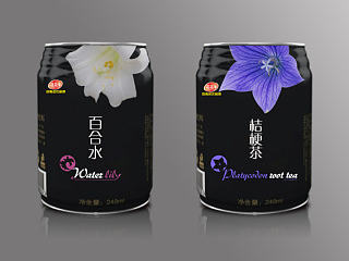 一組包裝練習(xí)（個(gè)人主頁-ZNjA1NzA5Mg==） - 包裝 - 站酷設(shè)計(jì)師taiyang24原創(chuàng)素材 - 站酷ZCOOL