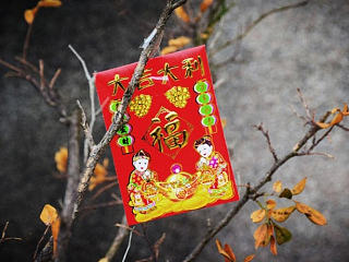 張村新春2015（個人主頁-ZNzQwOTYyOA==） - 風光攝影 - 站酷設計師果兒hh原創(chuàng)素材 - 站酷ZCOOL