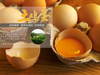 土鸡蛋海报 banner 