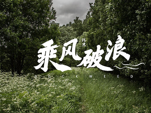 乘风破浪