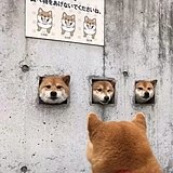 阁道三的头像
