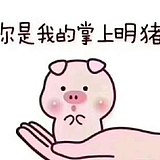 竹本羽的头像