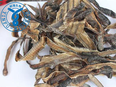 地龙蛋白（个人主页-ZMjA3NzIzODg=） - Logo - 站酷设计师用户名QAZ原创素材 - 站酷ZCOOL