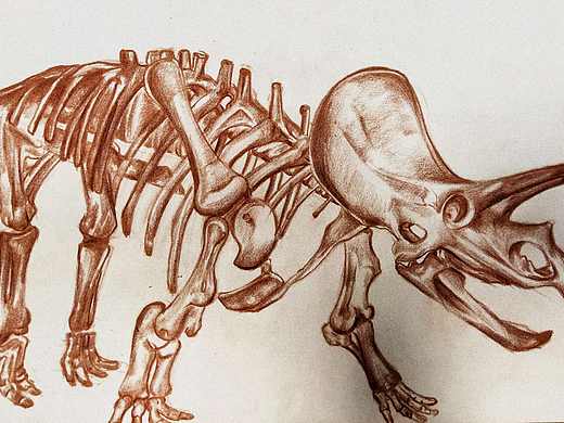 素描（个人主页-ZNTcwODQyMDA=） - 其他平面 - 站酷设计师乔小宅原创素材 - 站酷ZCOOL