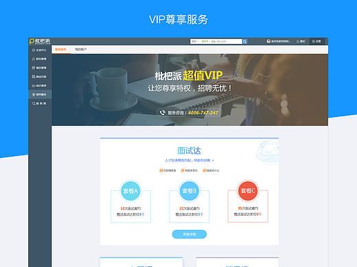 VIP尊享服务页面和企业产品介绍页面