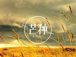 时雨及芒种，四野皆插秧。