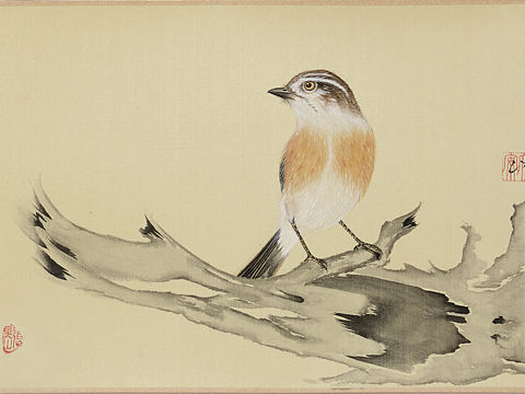 張?zhí)飩セB畫作品（個人主頁-ZMzUwODE4MDA=） - 繪畫 - 站酷設(shè)計師張?zhí)飩ピ瓌?chuàng)素材 - 站酷ZCOOL