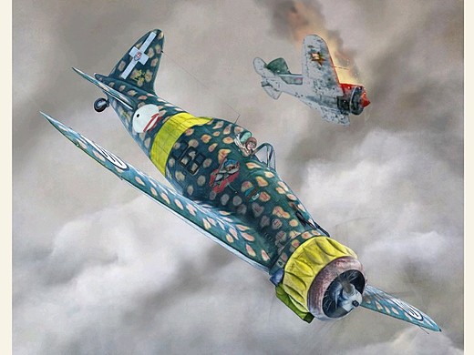 意大利 mc.200战机