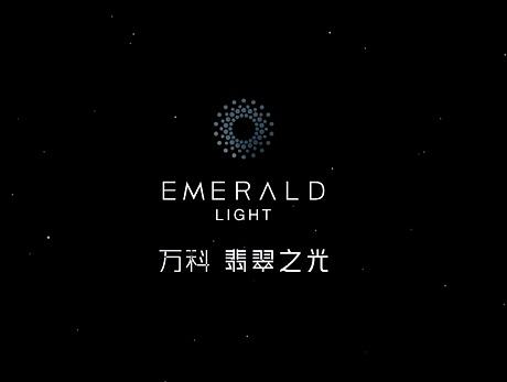 提案视频——万科圣丰翡翠之光（一稿）