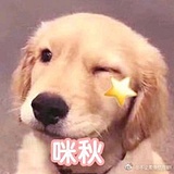 月zoe的头像