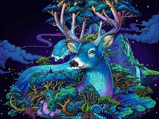 麓视觉2015版夏鹿首发