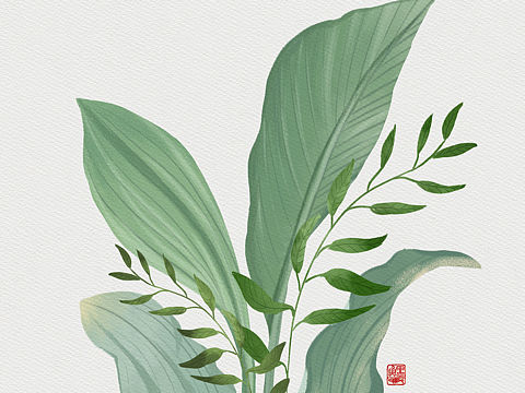 植物