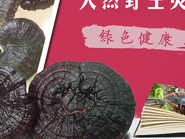 灵芝的详情页