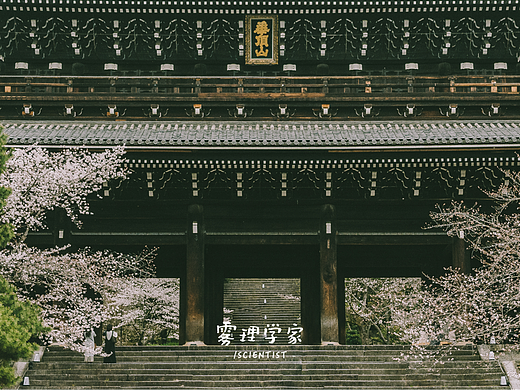 清水坂坡 | Photo | 雾里学家scientis | 16 