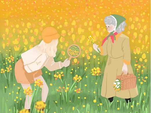 春日限定-花田里的时光