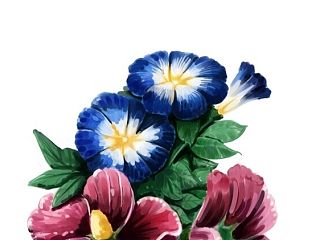 浪漫的夢（個人主頁-ZNTAyMjMwMA==） - 商業(yè)插畫 - 站酷設(shè)計師大M小子原創(chuàng)素材 - 站酷ZCOOL