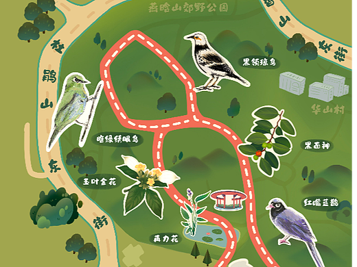 华基金公益项目——“人人都是零碳生活家”手绘地图
