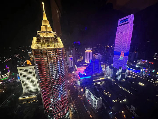 户外夜景中央电视塔植物东方明珠湘南水乡夜景动物