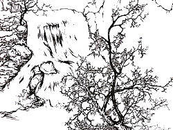 樹（個(gè)人主頁(yè)-ZNDYwOTQw） - 繪畫 - 站酷設(shè)計(jì)師zxnwhw原創(chuàng)素材 - 站酷ZCOOL