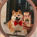 蜜糖怪兽的头像