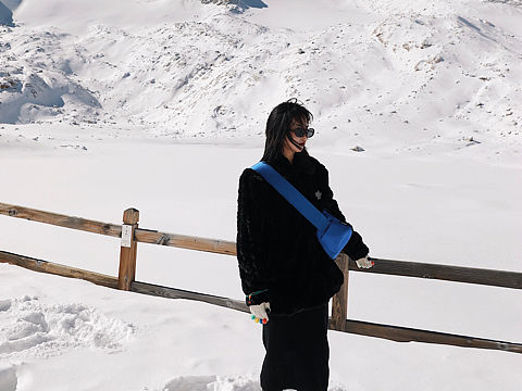 掉进了一场关于冰川的梦中