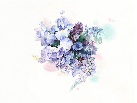 繁花尽处,赏尽繁花!