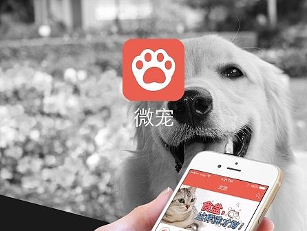 微宠APP
