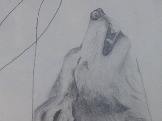 殤（個人主頁-ZMTgyNTMyNTY=） - 創(chuàng)作習作 - 站酷設計師南葉雨光原創(chuàng)素材 - 站酷ZCOOL