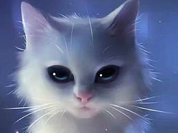 引導(dǎo)頁(yè)