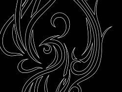 凤凰 涅槃 纹身 线条