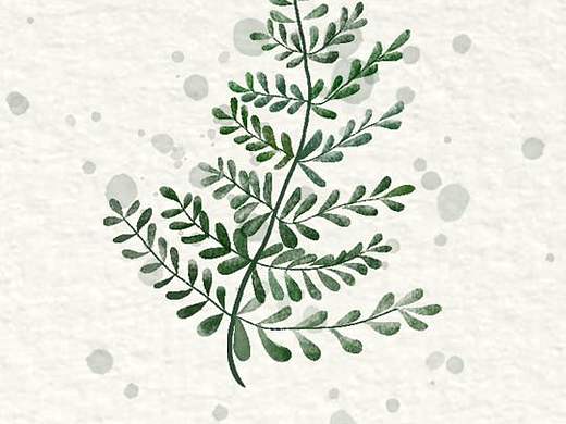 北歐植物（個人主頁-ZMzc5NTUxMDg=） - 商業(yè)插畫 - 站酷設(shè)計師梨不甜原創(chuàng)素材 - 站酷ZCOOL