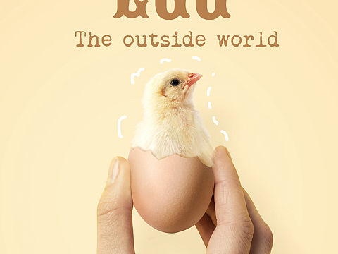 #1252第三十七轮约拍##蛋#