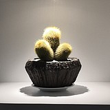 灵胖子的头像